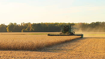 green, cultivator, cloudy, sky, daytime, Harvester, Harvest, Farming, Soybean, sunset, agriculture
