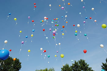assortito, colori, palloncini, celebrazione, galleggiante, elio, alleviare, celebrare, decollare, competizione di palloncini, cielo