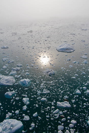 arktický, polární kruh, Grónsko, ilulissat, ledovec, proudění ledu, ledový fjord, odraz, arktické moře, plavba, cestovní