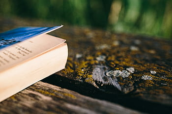 verão, descansando, livro, relaxante, tempo, livro de leitura, noite, hora mágica, livro aberto, Leitura, lago