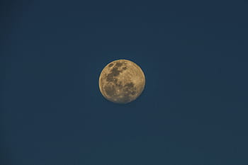 voll, Mond, klar, Himmel, Natur, Landschaft, dunkel, Nacht-