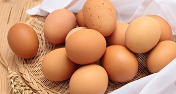 vejce, jídlo, zdravý, jíst, bílý, snídaně, kuře, protein, čerstvý, skořápka, zlatý