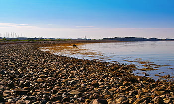 denmark, danish coast, island, fyns hoved, baltic sea, danish baltic, danish baltic beach, mussel shells, shellfish mussels, danish beach, maritime