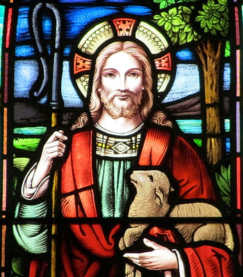 jesus risen, stained glass, good shepherd, faith, christian, holy, color, stained, glass, window, shepherd