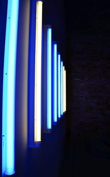 neon, luce al neon, luci al neon, luce, lampade, bulbi, blu, arte, installazione artistica, installazione, oggetto d'arte