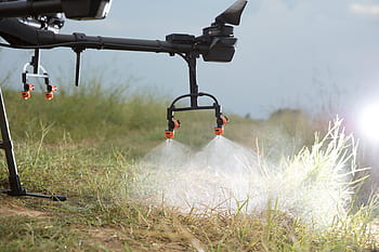 dji, uav, drone na ochranu rostlin, zemědělské půdy, zemědělství, ochrany rostlin, t16, rýže, v rýžovém poli, agras, trubec