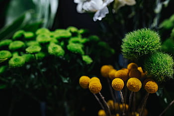 カラフルな花の花束、 コレクション、 カラフル、 花、 花束、 バラ、 植物、 美しい、 かなり、 自然、 緑色