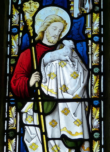 yesus kristus, membawa, domba, bernoda, jendela kaca, jendela gereja, kaca patri, england, united kingdom, gereja, gambar