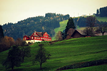red, white, painted, house, green, leafed, trees, concrete, daytime, highland, grass
