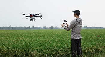 dji, uav, drone na ochranu rostlin, zemědělské půdy, zemědělství, ochrany rostlin, t16, rýže, v rýžovém poli, agras, trubec