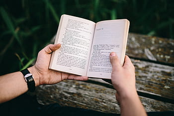 orang-orang, musim panas, Book, notebook dibuka, waktu, membaca buku, danau, dermaga tua, malam, jam sihir, dermaga kayu