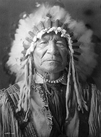 grayscale photography, male, native, american, grayscale, native american, historical, vintage, sioux, indian, chief