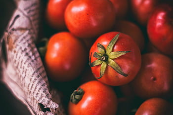tomato, crops, vegetable, red, fresh, ingredient, food