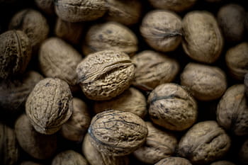 brown almond nuts, seeds, walnut, food, nut, food and drink, healthy eating, large group of objects, close-up, nut - food, dried food