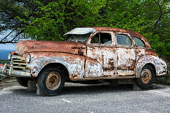 vinobraní, bílý, sedan, zaparkováno, zelená, listový strom, hnědý, auto, u, úlomek, stromy