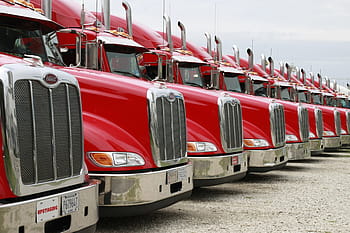 red, semi trucks, white, sky, trucks, peterbuilt, vehicle, red trucks, transportation, mode of transport, in a row
