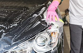 osoba, nošení, růžový, gumová rukavice, mytí, Černá, auto, umýt auto, modrý, podnikání, vozidlo