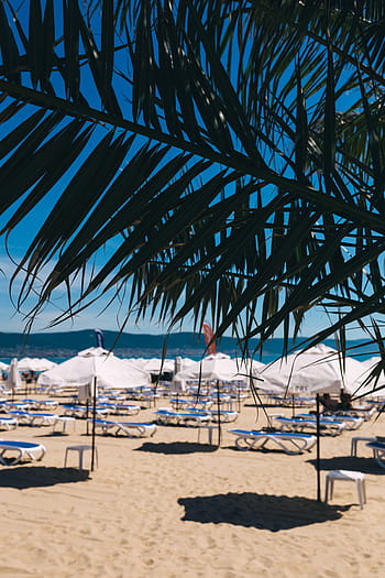espreguiçadeiras, ensolarado, praia, guarda-chuvas, lounge, cadeiras, Sunny Beach, Bulgária, oceano, areia, mar