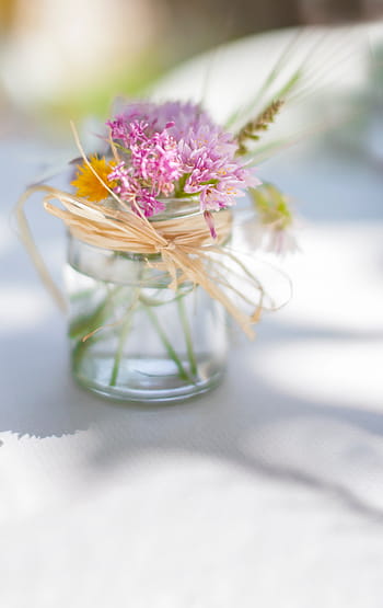 selettivo, fotografia a fuoco, rosa, fiore petalo, chiaro, barattolo di vetro, bianca, superficie, fiori, bicchiere, acqua