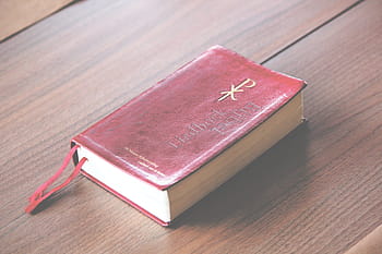 red book, book, bible, old, paper, pages, testament, religion, sheet, verses, chapters