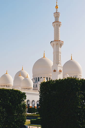 mešita, abu dhabi, mešita, muslimský, náboženství, modlitba, rostlin, zahrada, věž, sochařství, socha, umění