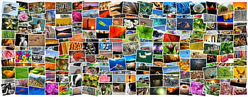 mezník fotografie, snímky, fotky, kolekce fotografií, fotoalbum, mozaika, koláž, nahrávek, rozmanitost, mnoho, barvitý