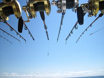 釣り、 深海、 釣り竿、 魚、 マリン、 スポーツ、 リール、 空、 漁師、 装置、 ロッド