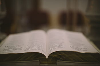 zdjęcie zbliżenie, otwierany, książka, biały, wydrukowane, strona, czytanie, otwarty, skupić się na pierwszym planie, żadnych ludzi, Edukacja
