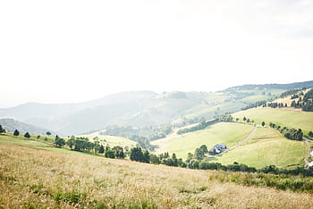 krajinářské fotografie, kopců, mlha, nebe, hnědý, tráva, otevřeno, pole, během dne, zelená, strom