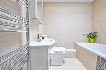 white, ceramic, sink, toilet bowl, painted, wall, bathroom, luxury, luxury bathroom, bathtub, contemporary