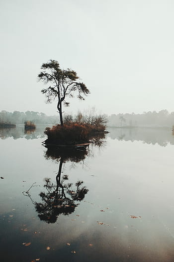 albero, fiume, grigio, nuvole, natura, alberi, viaggio, avventura, lago, riflessione, acqua
