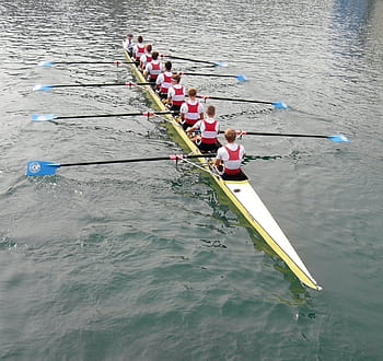 groupe, les gens pagayant canoë, aviron, luzerne, reut sprint, course d'aviron, reus, rivière, eau, Suisse