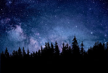 noc, Příroda, astronomie, les, jedle, temný, krajina, hvězd, kosmos, souhvězdí