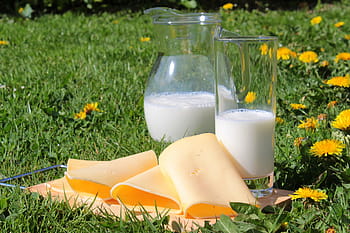 clear, highball glass, glass pitcher, green, grass, daytime, milk, cheese, cheese slices, milk products, food
