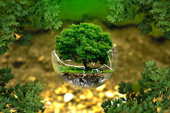 green leaf tree, environmental protection, nature conservation, ecology, eco, bio, glass ball, forest, green, organic, live