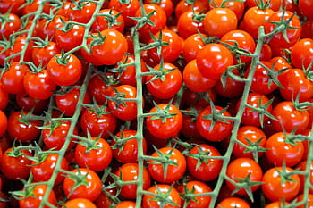 hromadu rajčat, rajčata, jíst, jídlo, vegan, bio, zelenina, salát, zdravý, výživa, Červené