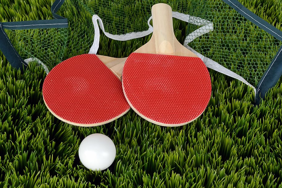 ping pong pádlo, travnaté hřiště, stolní tenis, ping-pong, netopýr, pálka na stolní tenis, sport, hrát si, pádlo, síť, spěch