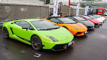 farblich abgestimmte Lamborghini Gallardo Coupés, geparkt, Vorderseite, Vordächer, tagsüber, Lamborghini, Auto, supercar, Fahrzeug