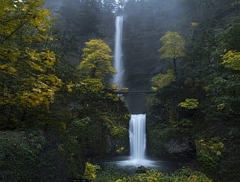 waterfall, nature, mountain, narrow, cliff, forest, natural, water, green, flowing, landscape