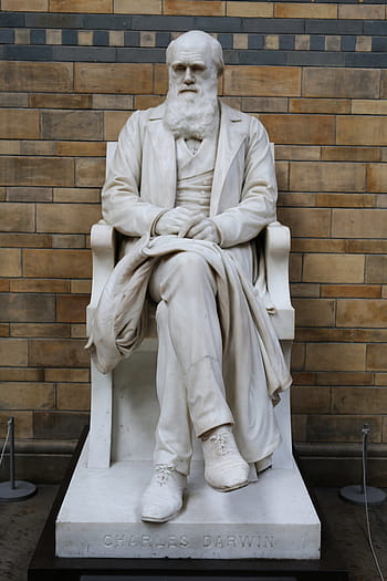Charles Darwin, darwin, muzeum, Londýn, muzeum, muzeum přírodní historie, charles, darwin, socha, sochařství, slavné místo, mramor