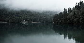fotografie, tělo, voda, zataženo, nebe, tělo z vody, Příroda, jezero, strom, krajina, les