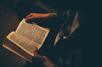 osoba čtení bible, osoba, čtení, rezervovat, uvnitř, pokoj, místnost, lidé, muž, sedící, sama, svatý