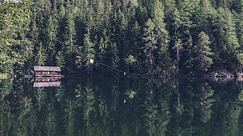cabin, body, water, surrounded, trees, landscape, photography, house, river, nature, lake