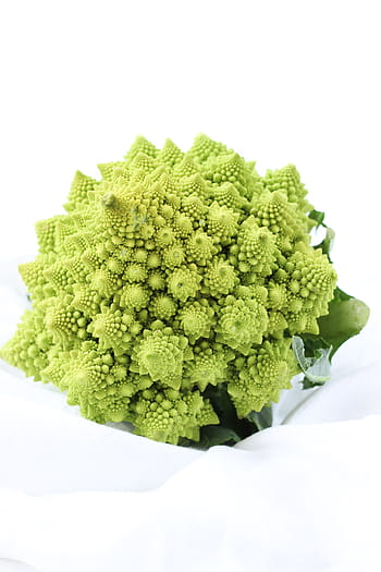 romanesco broccoli, white, surface, plant, green, leaves, flower, garden, green color, food and drink, studio shot