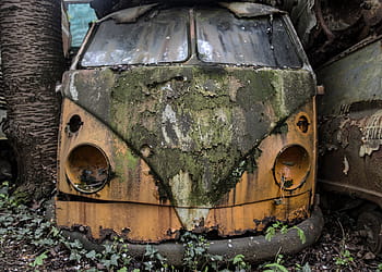 oranžový volkswagen t1, zelená, mech, hlaveň, mimo, odpadky, auto, poškozen, špinavý, rezavý, pozemního vozidla