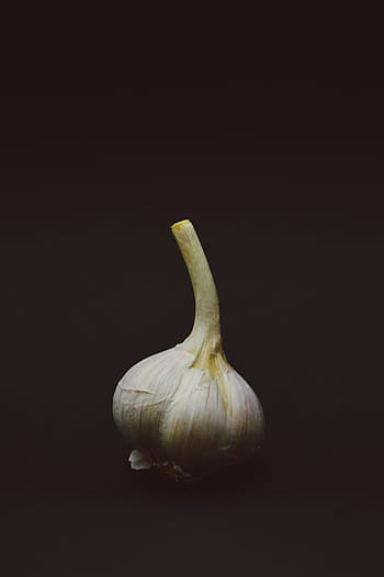 white garlic, onion, food, food and drink, studio shot, healthy eating, black background, freshness, garlic, colored background, vegetable