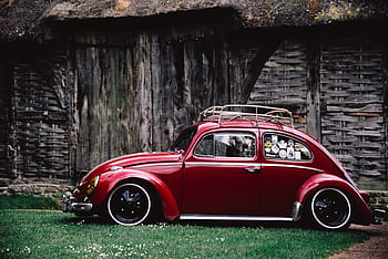 kırmızı, volkswagen böceği coupe, park, yeşil, çimen, bağbozumu, araba, Oto, araç, dış mekan, peyzaj