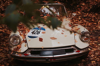 classic, vehicle, maple, leaves, car, transportation, travel, adventure, dried, land Vehicle