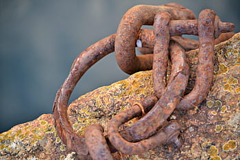 Chain, Hook, Rust, Metal, Iron, weathered, rusted, pier, rusty, steel, link