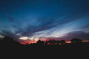 trees during sunrise, silhouette, dark, sky, clouds, trees, sunset, nature, aesthetic, landscape, beauty in nature
